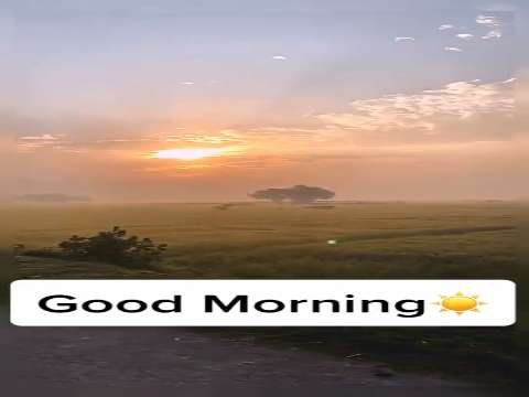 Good Morning Status | Good Morning Whatsapp Status Video | Good Morning Status Video thumbnail
