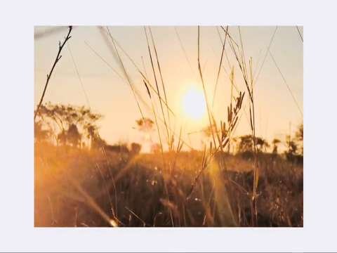 Good Morning Status Video | Good Morning Whatsapp Status Video | Good Morning Love Status thumbnail