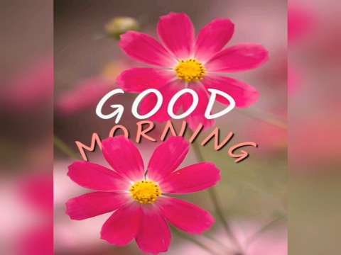 Good morning Status | good morning status video | good morning video | whatsapp status video thumbnail