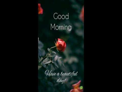 Love status | Feel The Music | good morning status | Dj Mix Status Video 2020 | Good Morning Status Video thumbnail