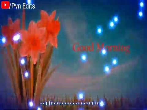 Good Morning Status Video | Good Morning Love Status Video | Good Morning Wishes Video thumbnail