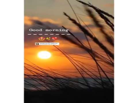 Good morning whatsapp status | good morning status video | tea lover whatsapp status thumbnail