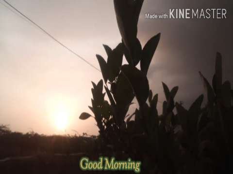 Good Morning Status Video | good morning WhatsApp status | beautiful natural video status | sunrise status thumbnail
