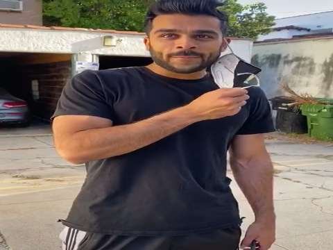 Funny Status Video | hit automaker love status | Girl Funny Status