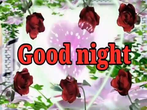 Good Night Video | Good Night WhatsApp Status Video | Love Shayari | Poetry | Wishes Love Shayari
