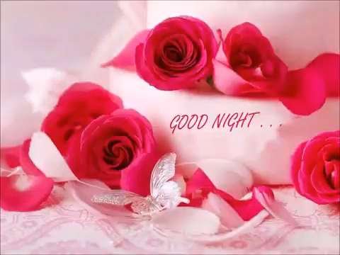 Beautiful Night |  good night status video | best WhatsApp status video | good night status video