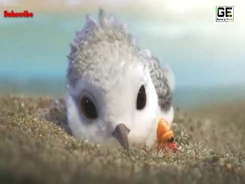 Good Morning Whatsapp Status |Piper Movie | Best Whatsapp Status | Good Morning Status Video thumbnail