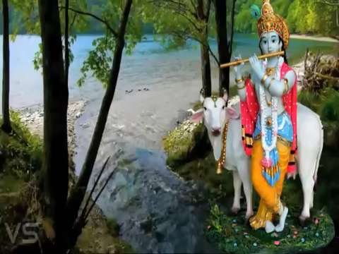 Good Morning Status  | Good Morning Whatsapp Status Video | Good Morning Status Videos | Good Morning Love Status Video thumbnail