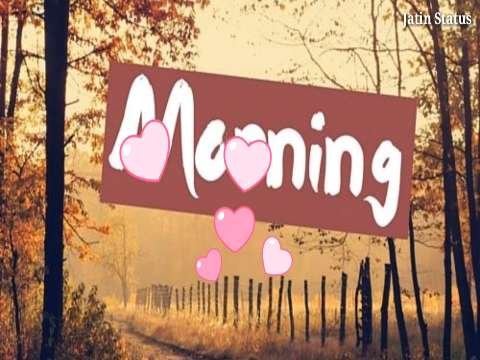 Good Morning Video | Good Morning Song | Good morning Status Video | Good Morning Whatsapp Status Video thumbnail