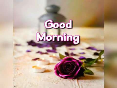 Good Morning | Good Morning Status Video | Whatsapp Status Video | Good Morning Video thumbnail