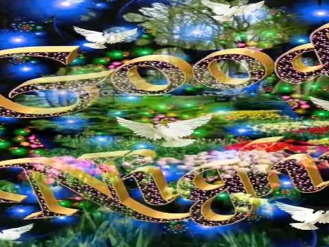 Good Night Video Status | good night whatsapp status download | good night lovely status video