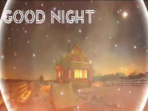 Good Night Video Status | good night whatsapp status download | good night lovely status video
