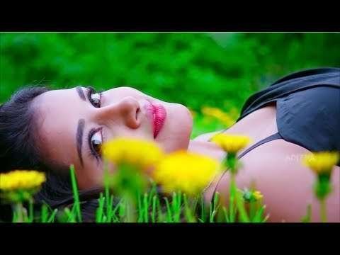 Wada raha pyar se pyar ka | khakee | love video status