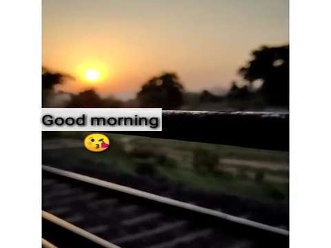 Good Morning Video Status | good morning whatsapp status download | good morning lovely status thumbnail