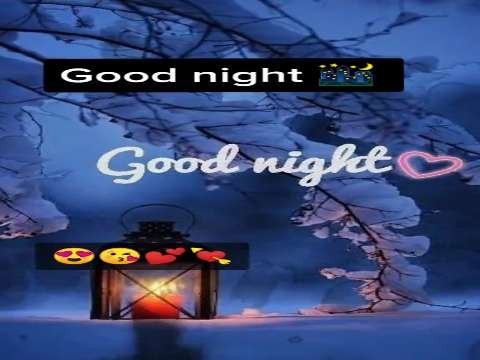 Good Night Video Status | good night whatsapp status download | good night lovely status video