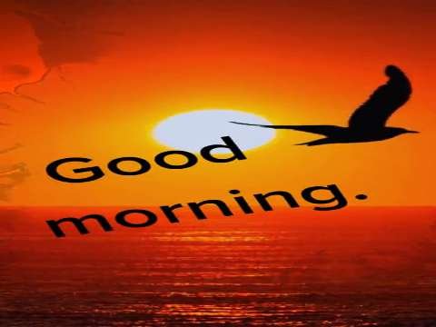 Good Morning Status | Good Morning Status Video | Good Morning Whatsapp Status Video thumbnail