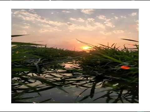 Good Morning Status | Good Morning Status Video | Good Morning Whatsapp Status Video Status Video thumbnail