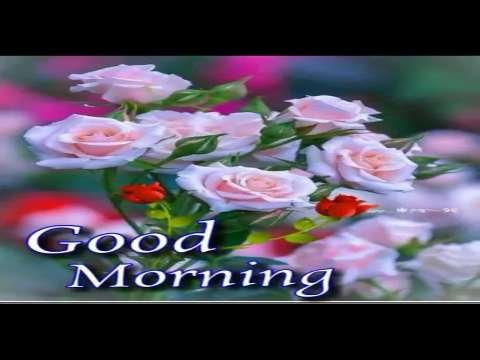 Good Morning Status | Good Morning Status Video | Good Morning Whatsapp Status Video Status Video thumbnail