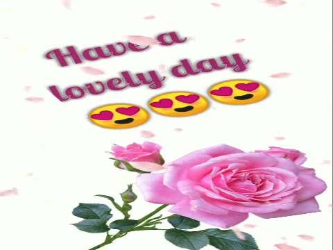 Good Morning Status | Good Morning Status Video | Good Morning Whatsapp Status Video Status Video thumbnail