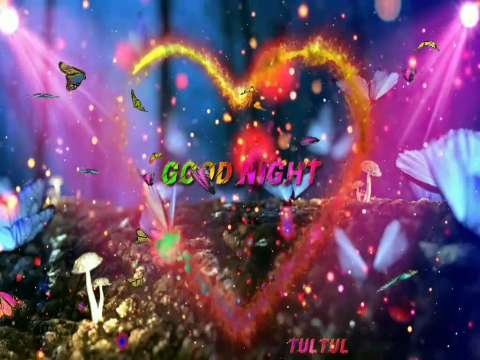 Good Night video status | good night whatsapp status download | good night lovely status