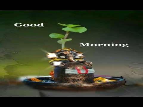 Good Morning Status | Good Morning Status Video | Good Morning Whatsapp Status Video thumbnail