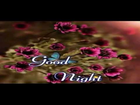 Good Night Video Status | good night whatsapp status download | good night lovely status video