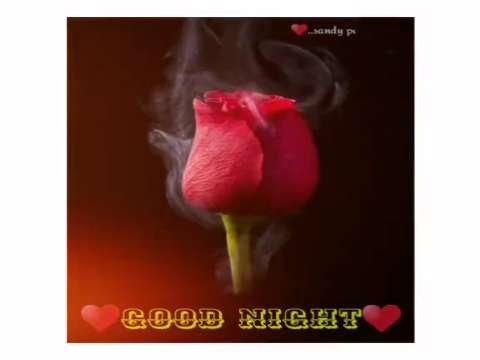 Good Night Video Status | good night whatsapp status download | good night lovely status video