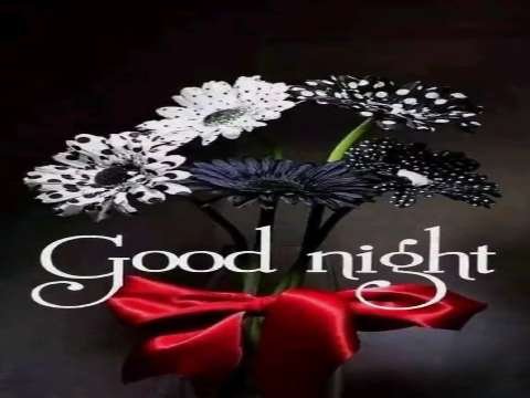 Good Night Video Status | good night whatsapp status download | good night lovely status video