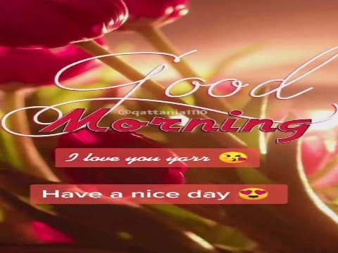 Good morning video status | good morning vwhatsapp status download | good morning lovely status thumbnail