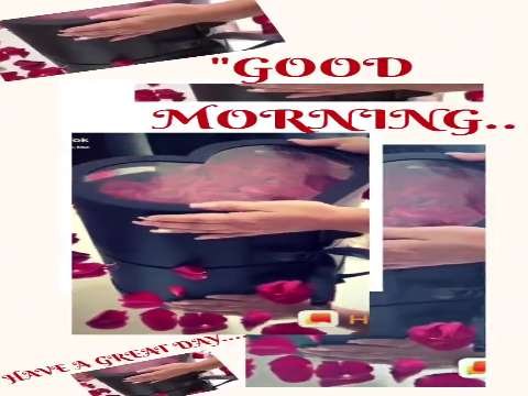 Good morning video status | good morning vwhatsapp status download | good morning lovely status thumbnail