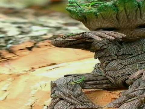 Good morning video status | good morning vwhatsapp status download | good morning lovely status thumbnail