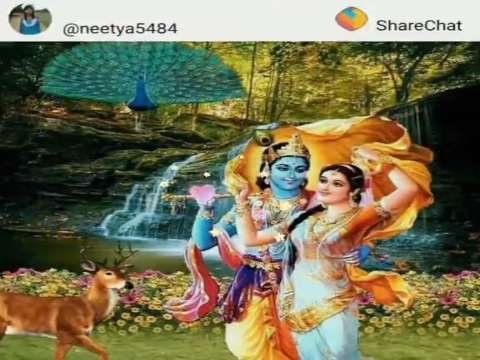 Good morning video status | good morning vwhatsapp status download | good morning lovely status thumbnail