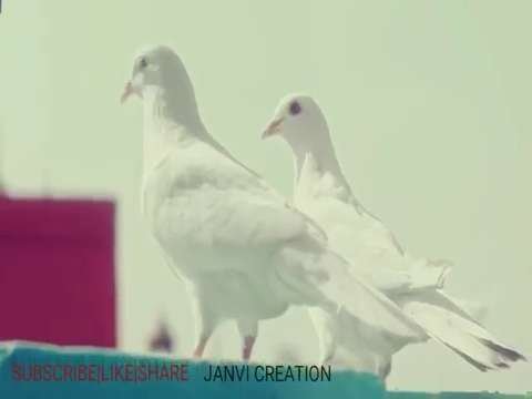Tum Ho Mera Pyar Whatsapp Status Video | Jab Se Tum Ho Mile Whatsapp Status
