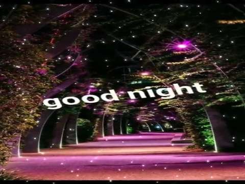Good Night video status | good night whatsapp status download | good night lovely status