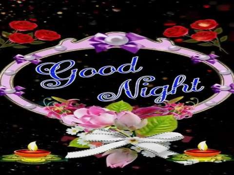 Good Night video status | good night whatsapp status download | good night lovely status