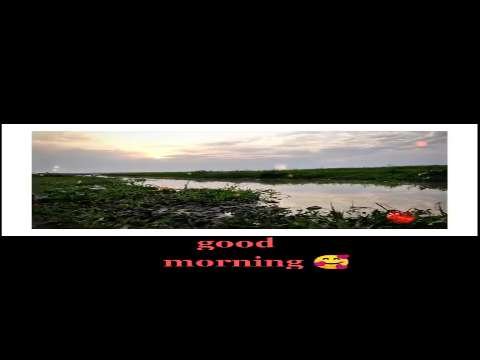 Good Morning Video Status | good morning whatsapp status download | good morning lovely status thumbnail