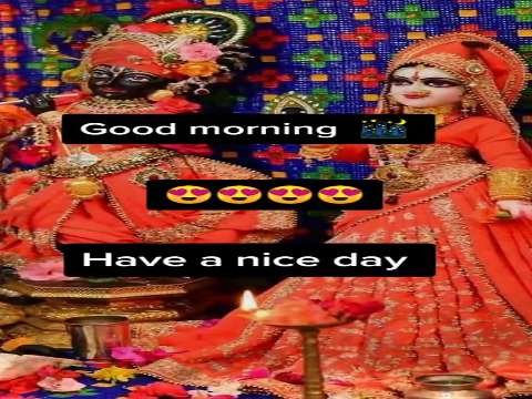 Good Morning Video Status | good morning whatsapp status download | good morning lovely status thumbnail