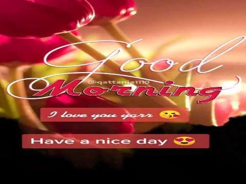 Good Morning Wishes | Have A Sweet Day Status | Good Morning Whatsapp Status Video