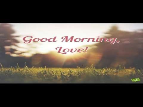 Good Morning Wishes | Have A Sweet Day Status | Good Morning Whatsapp Status Video | Good Morning Status thumbnail