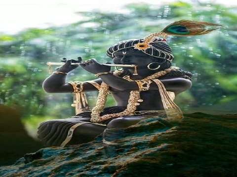 Good Morning Wishes | Have A Sweet Day Status | Good Morning Whatsapp Status Video | Good Morning Status thumbnail