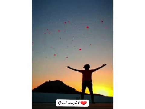 Tumse He Dil Ki Sajedariya | Good Night Video Status | good night whatsapp status download | good night lovely status video