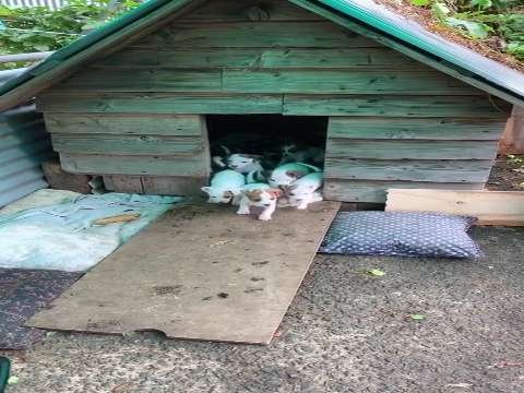 Good Morning Status | Good Morning Status Video | Good Morning Whatsapp Status Video thumbnail