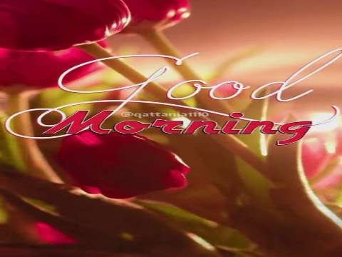 Good Morning Status | Good Morning Status Video | Good Morning Whatsapp Status Video thumbnail