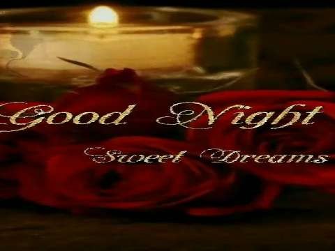 Good Night Shayari Status | Good Night video status | good night whatsapp status download | good night lovely status