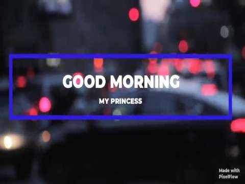 Good Morning Wishes | Have A Sweet Day Status | Good Morning Whatsapp Status Video thumbnail