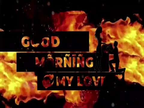 Good Morning Wishes | Have A Sweet Day Status | Good Morning Whatsapp Status Video | Good Morning Shayari Status thumbnail