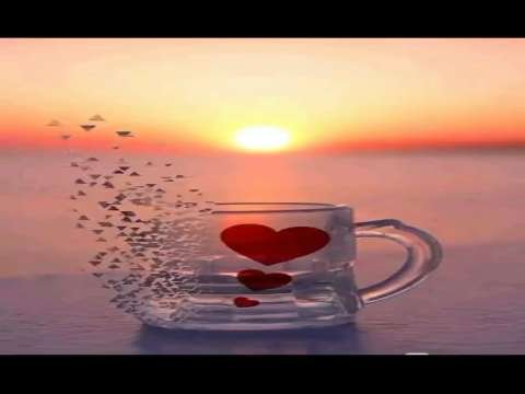 Good Morning Wishes | Have A Sweet Day Status | Good Morning Whatsapp Status Video | Good Morning Shayari Status thumbnail