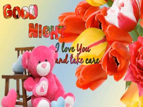 O Mere Rabba | Ye ME Janu Ya Tu Jane | Good Night Romantic Special WhatsApp Video | Pics Wallpaper Message Whatsapp Status | Good Night Whatsapp Status
