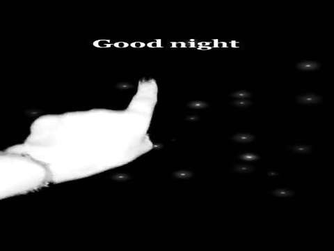 Good Night video status | good night whatsapp status download | good night lovely status | good night shayari status