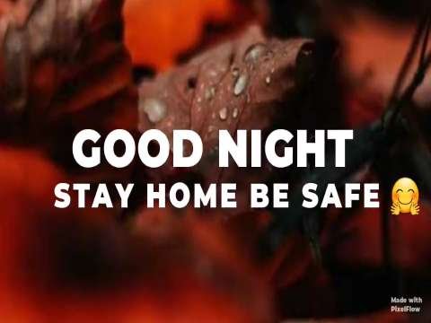 Good Night video status | good night whatsapp status download | good night lovely status